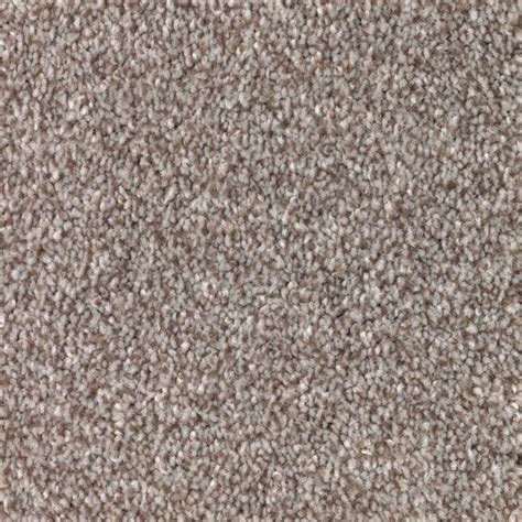 Stainmaster Sample Durable Step Ii Weathered Wood Textured Carpet In