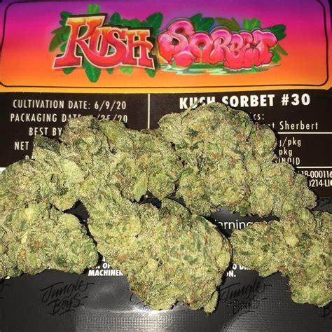 Her effect is one that targets the mind and body, and . Strain Review: Kush Sorbet by Jungle Boys - The Highest Critic