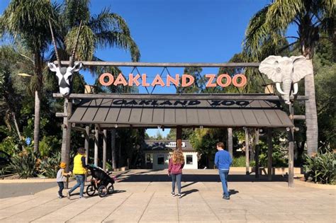 Reserve Your Tickets for a Social Distancing Trip to the Zoo! | Marin