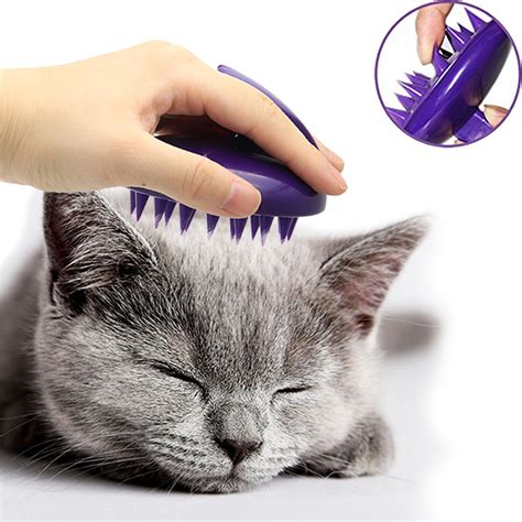 10 Best Cat Massage Combs Best Choice Reviews