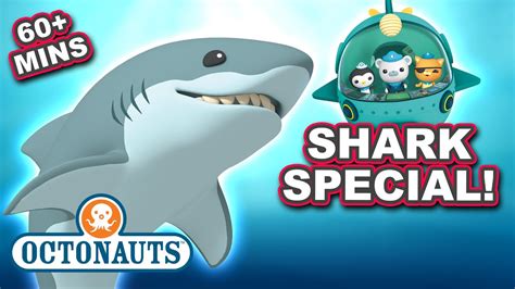 Sharkweek Octonauts One Hour Of Sharks 🦈 60 Mins