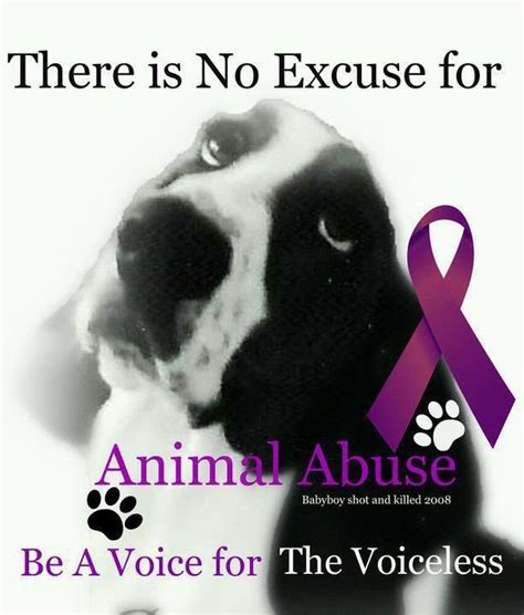 47 Stop Animal Abuse Quotes Notorioustomo