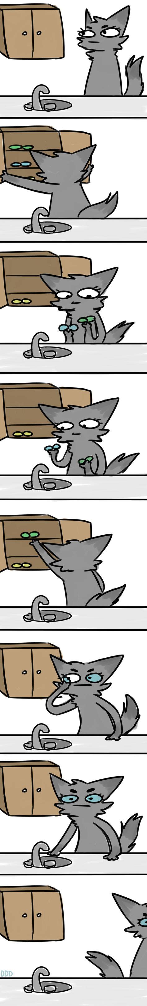 Dovewing By Diddlydarndunkaccino With Images Warrior Cats Funny Warrior Cats Comics