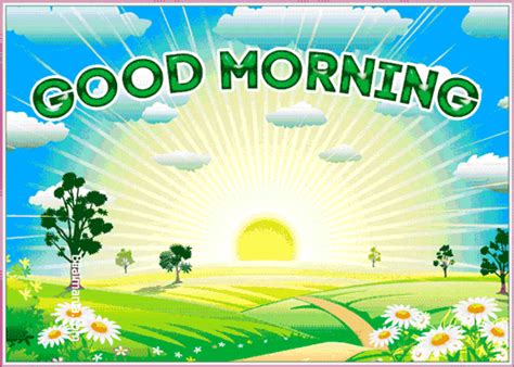 70 Beautiful Good Morning  Images Wishes 2023