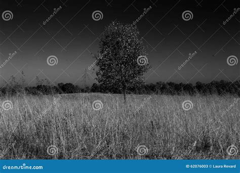 Black And White Field Stock Image Image Of Lost Oklahoma 62076003