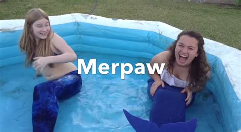 Merpaw Youtube Mermaid Shows Wiki Fandom Powered By Wikia