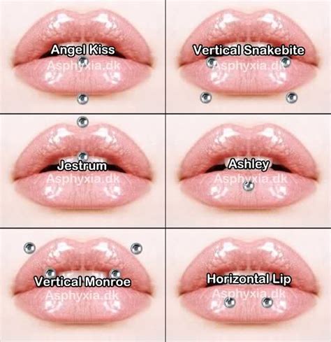 Master Pierce Ltd Professional Piercing Lip Piercing Names Face