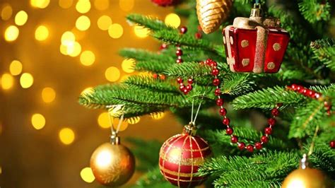 El Origen Del árbol De Navidad