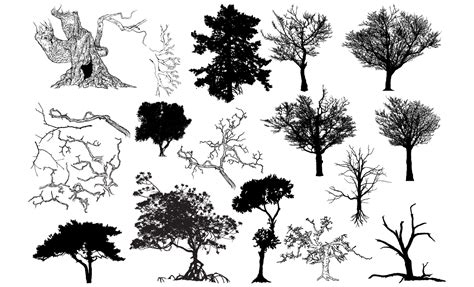Tree Vector Shapes Pack 2