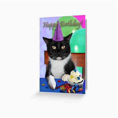 Birthday Black Cat Greeting Card For Sale By Jkartlife Redbubble
