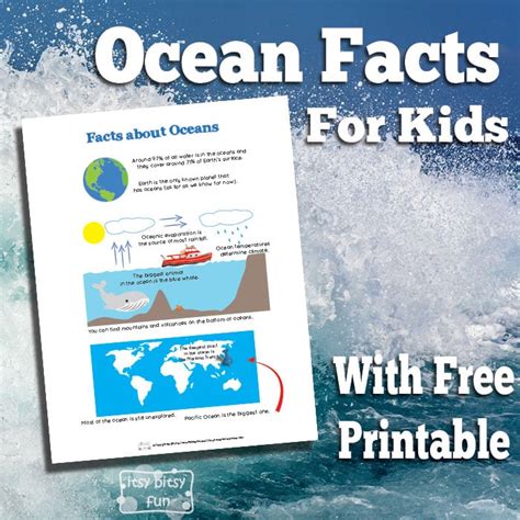 Ocean Facts for Kids - Itsy Bitsy Fun