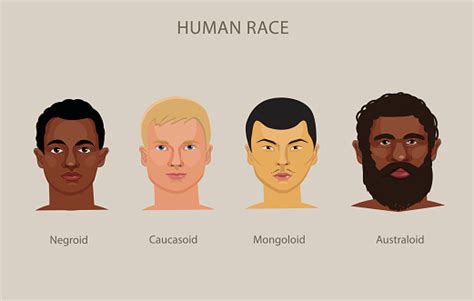 Evolution Of Different Races Vector Set Race History Human