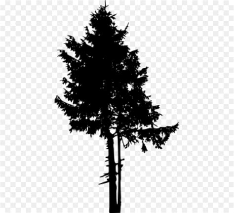 Free Pine Tree Silhouette Clip Art Download Free Pine Tree Silhouette