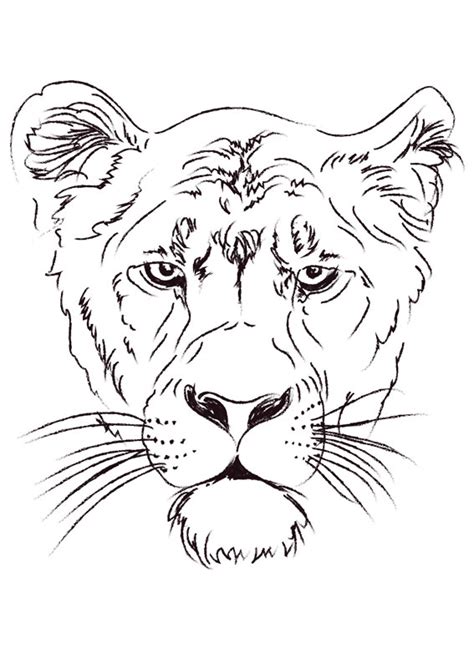Il sito dedicato ai disegni da colorare, per tutti i gusti. 30 Disegni di Leoni da Colorare | PianetaBambini.it