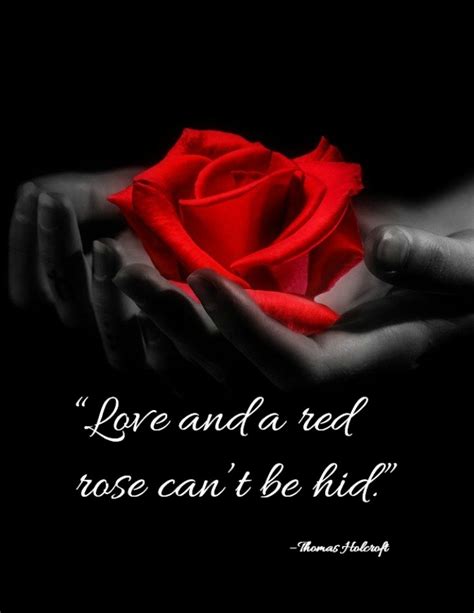 Romantic Rose Quotes 20 Best Rose Love Quotes With Images