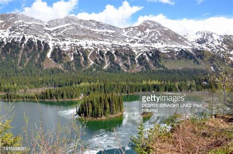 Pine Le Moray Provincial Park Imagens E Fotografias De Stock Getty Images