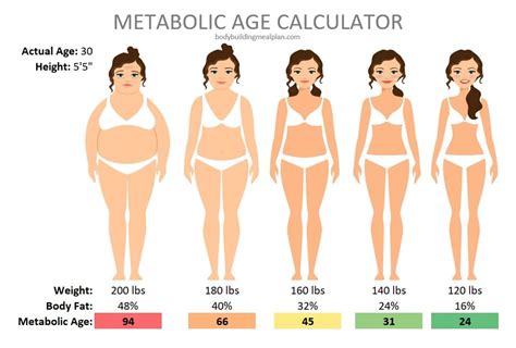 Metabolic Age Calculator 7 Simple Steps To Lower Metabolic Age