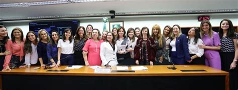 Deputadas Federais Unem Esforços E Defendem Direitos Das Mulheres Na Resposta Do Brasil à