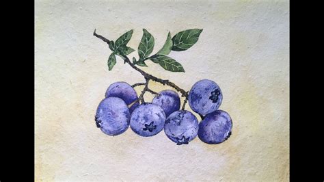 How To Paint Blueberry In Watercolor Fruit Painting In Watercolor