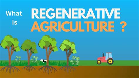 What Is Regenerative Agriculture Youtube