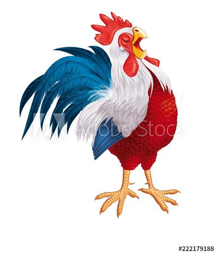 Emblème de la ferme de poulet sur fond blanc. coq français, coq gaulois, mascotte, coq de france, coupe du monde, foot, bleu blanc rouge ...