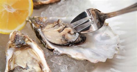 What do you think the. Oysters Are Alive When You Eat Them - NowThis