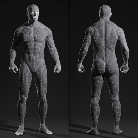 3d Male Body Wireframe Body Anatomy Anatomy Study Male Body