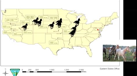 Eastern States Wild Horse And Burros Journey To Adoption Map Youtube