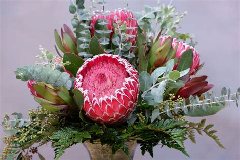 Protea Mix Sf 314 In Claremont Ca Sherwood Florist And Uniqueart Gallery