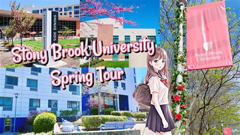 Stony Brook University Campus Tour My Favorite Places On Campus Youtube