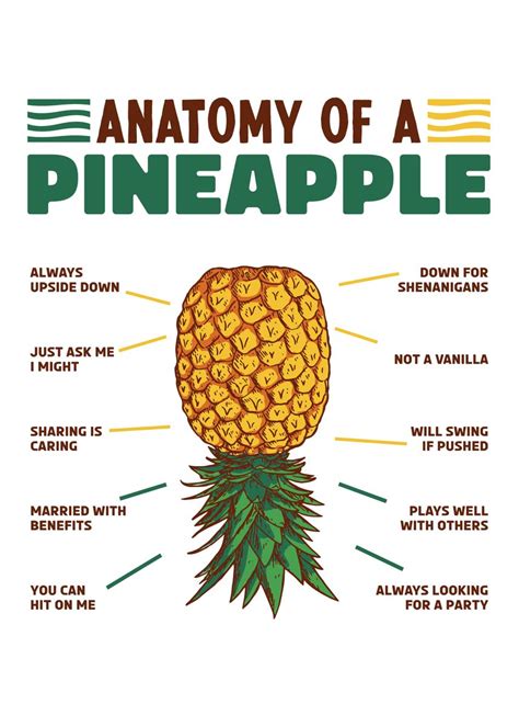 Anatomy Of A Pineapple Poster Picture Metal Print Paint By Phil