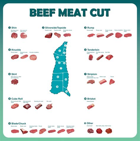 Beef Cuts Meat Butcher Chart Poster X Mini Cooking Sexiz Pix