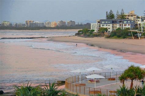 Quali sono i migliori hotel vicino a caloundra. Kings Beach Caloundra Queensland. | Kings beach, Caloundra ...