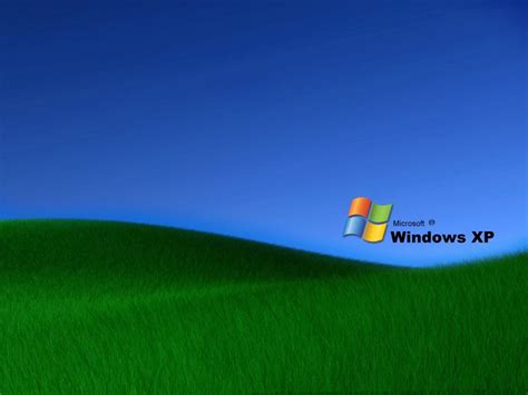 Grass Windows XP Wallpapers - Amazing Picture Collection