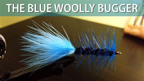 Fly Tying The Blue Woolly Bugger Youtube