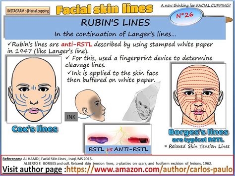 Facial Skin Lines N°26 Rubins Lines Facial Skin Skin Line Facial