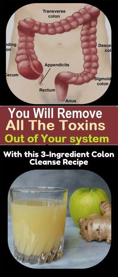The 3 Ingredient Colon Cleanse Recipe Will Remove All The Toxins Out Of Your System Colon