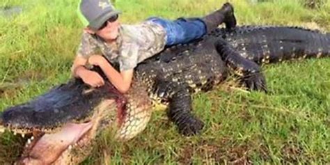 Monster 780 Pound Gator Caught In Florida