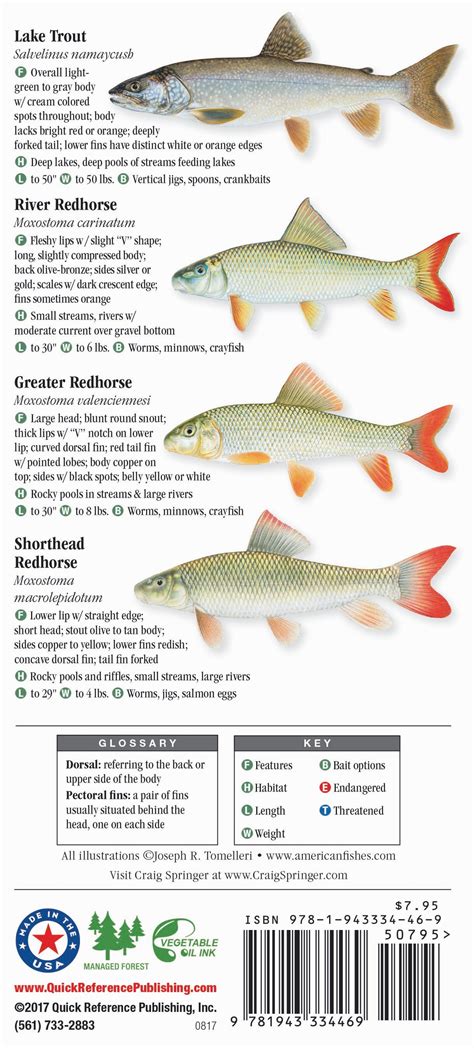 Lake Michigan Fish Species Chart