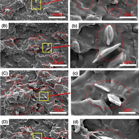 Sem Micrographs Of The Impact Fractured Surface Of Pla Emagma Zrp Download Scientific Diagram