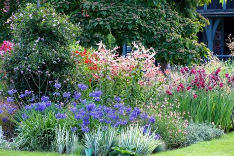Best Cottage Garden Plants Our Top Flowers For Romantic