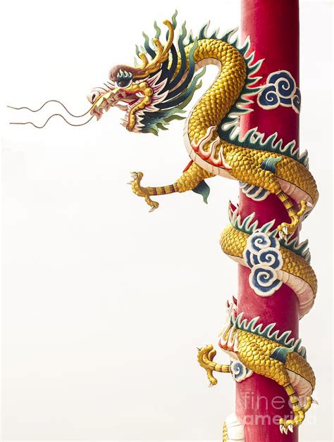 Chinese Dragon Photograph By Anek Suwannaphoom Pixels