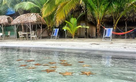 Hoteles en la playa en boca ratón. Boca del Drago: Una paradisiaca playa repleta de estrellas ...