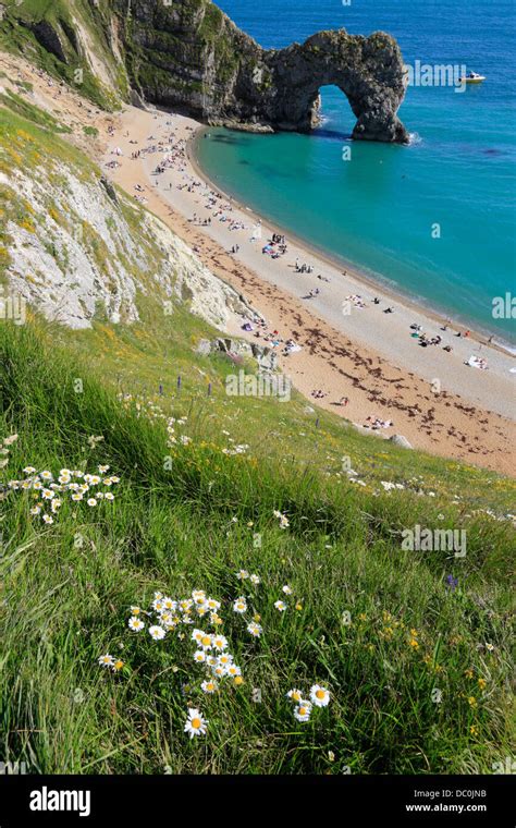 Durdle Door Natural Limestone Arch On The Jurassic Coast Near West