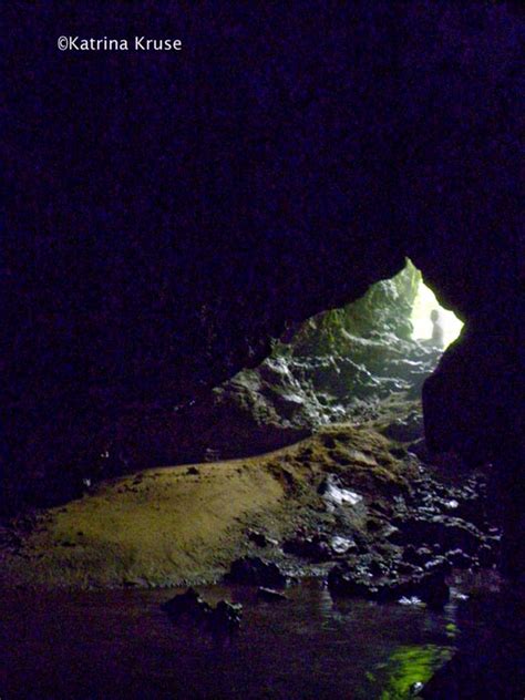 The Kruse Chronicles Continue In New Mexico Cueva Murcielago Bat Cave