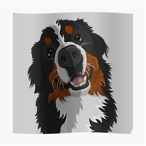 Berner Sennenhund Sticker Von Anxiousbison Redbubble Bernese