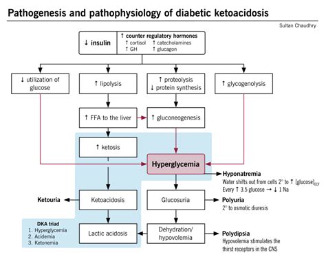 Pathogenesis And Pathophysiology Of Diabetic Ketoacidosis Grepmed