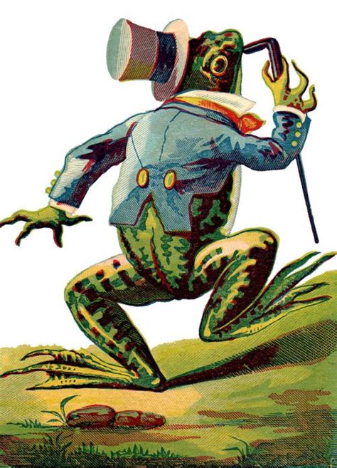 Public Domain Frog Illustration 8 Free Vintage Illustrations Frog