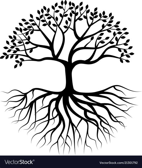 Tree Silhouette With Root Royalty Free Vector Image