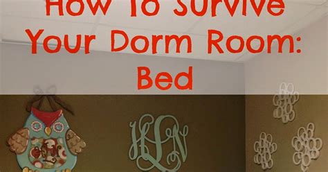 My Life As Hayden How To Survive Your Dorm Room Bed